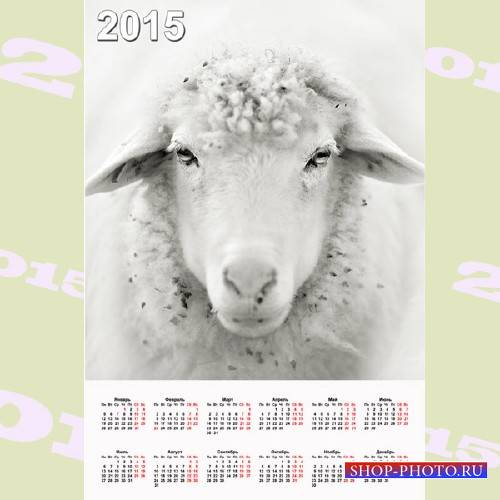  Календарь настенный - Белая овечка 