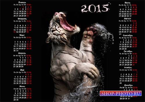  Красивый календарь - Белый тигр 