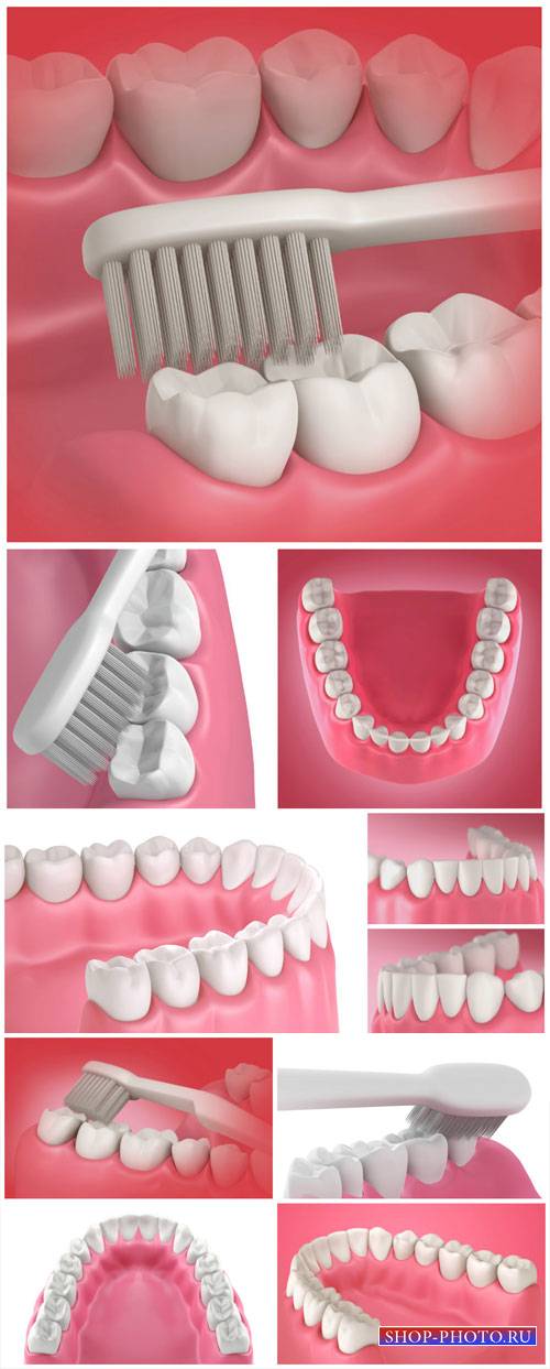 Teeth and toothbrush, dentistry - stock photos