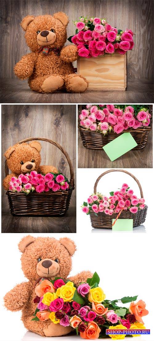 Teddy bear with a basket of roses - stock photos