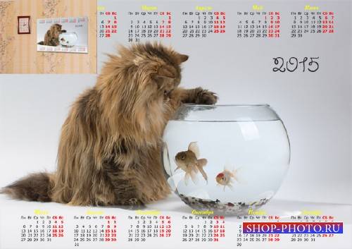  Календарь 2015 - Котенок над рыбками 