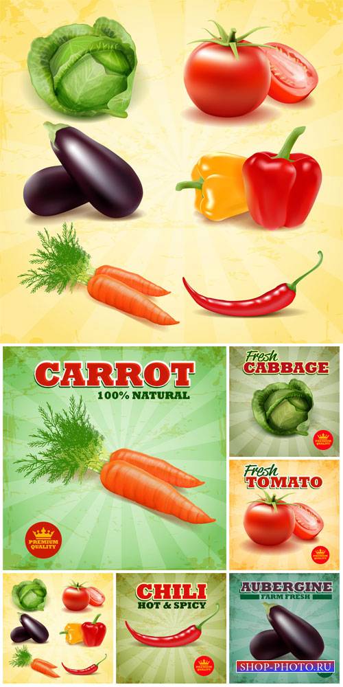 Vegetables, food labels vector