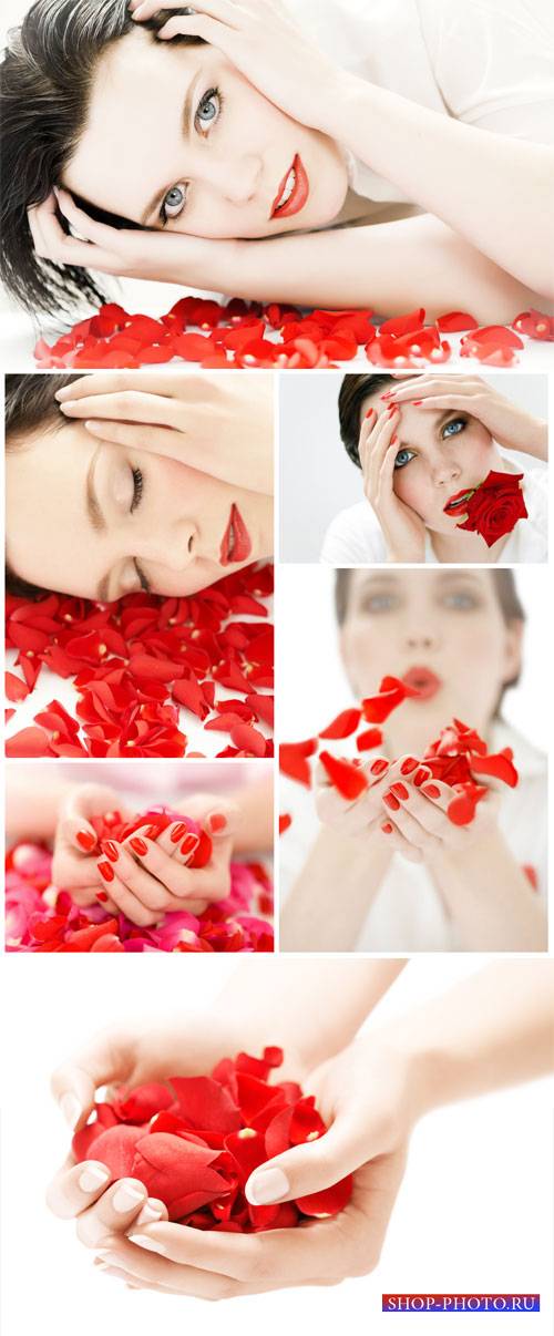 Beautiful woman and rose petals - Stock Photo
