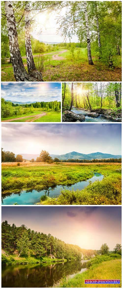 Beautiful landscapes, birch grove, river - stock photos