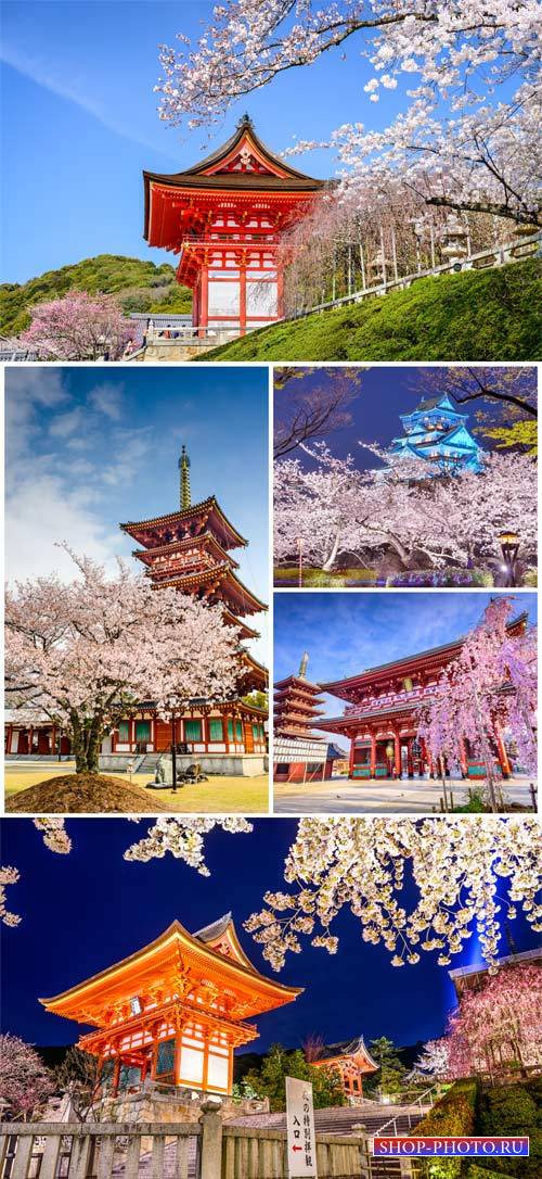 Japan, architecture and sakura - stock photos
