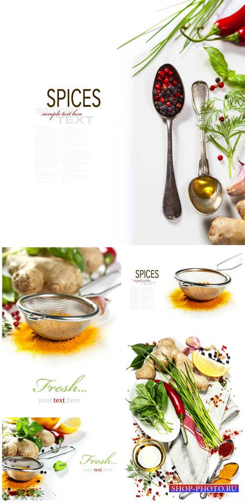 Spices, white background for your text - stock photos