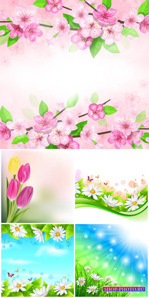 Flowers vector, daisies, tulips, spring flowers
