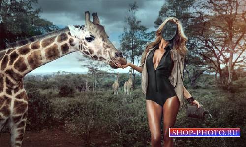  Шаблон для фотошопа - Среди жирафов 