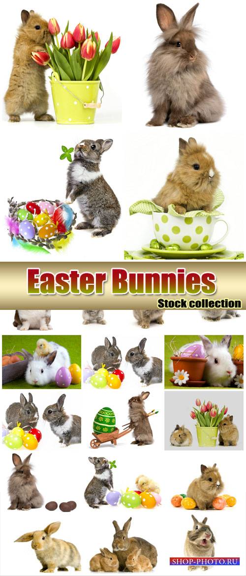 Easter bunnies with Easter eggs - stock photos