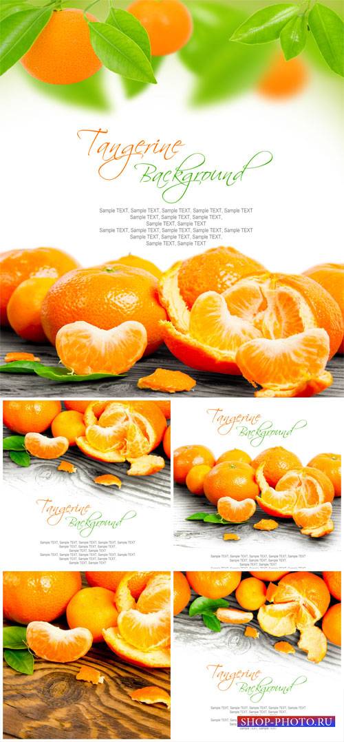 Tangerines - stock photos