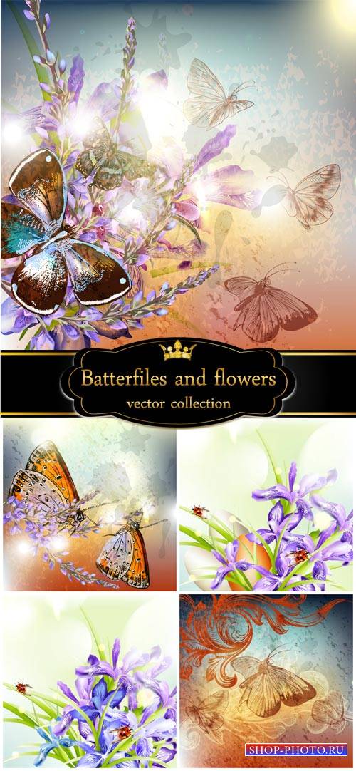 Butterflies and flowers, vector backgrounds