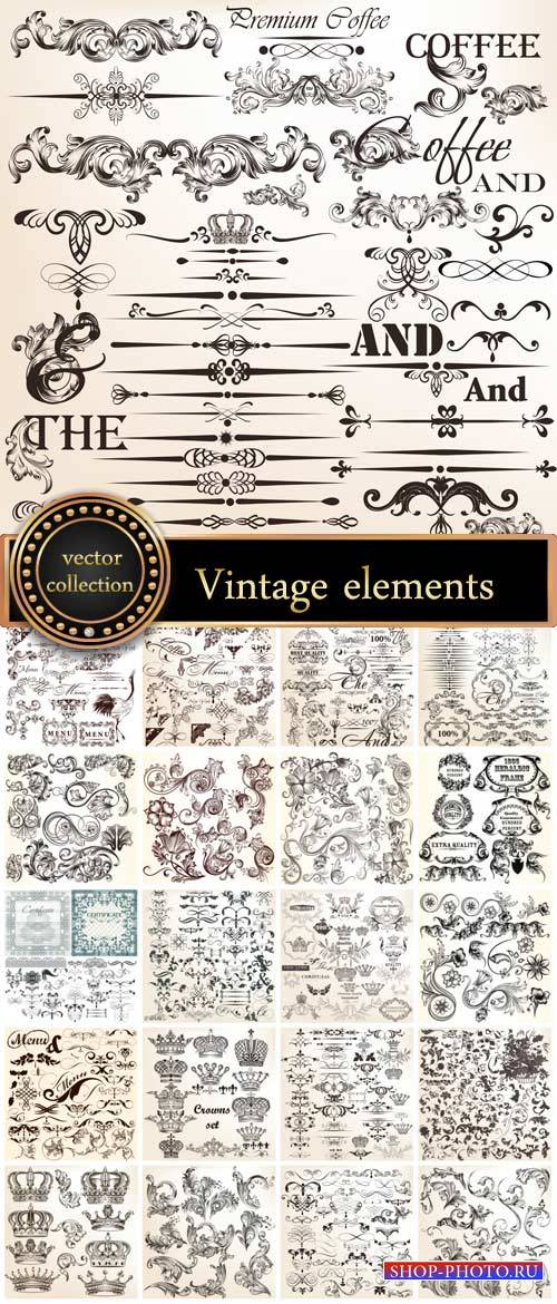 Vintage decorative elements, scrolls, ornaments vector