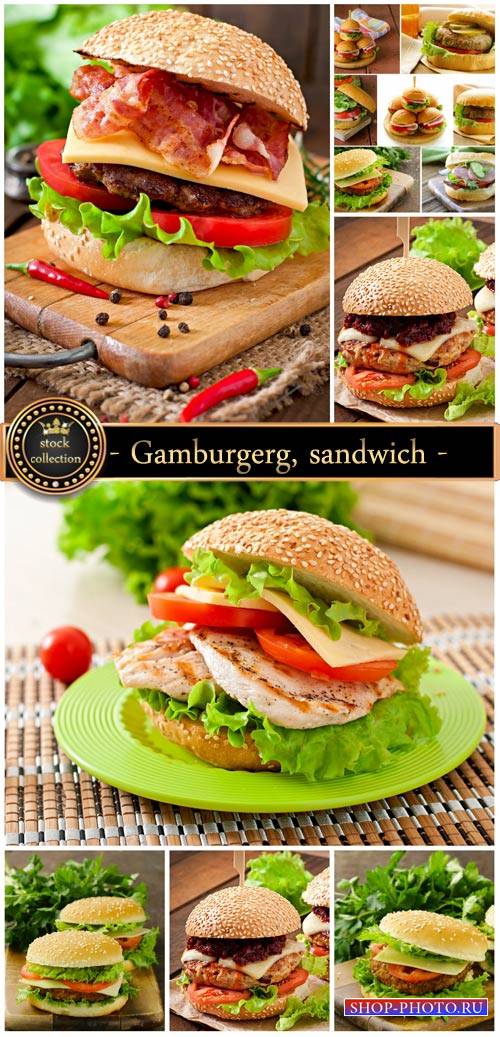 Gamburgerg, sandwich - stock photos