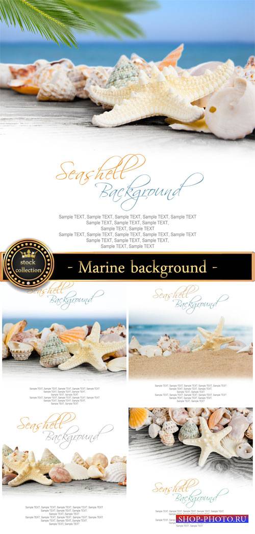 Marine background with shells - stock photos