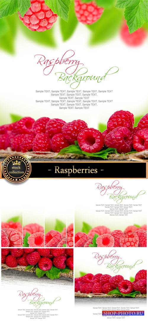 Raspberries background with fresh berries - Stock Photo