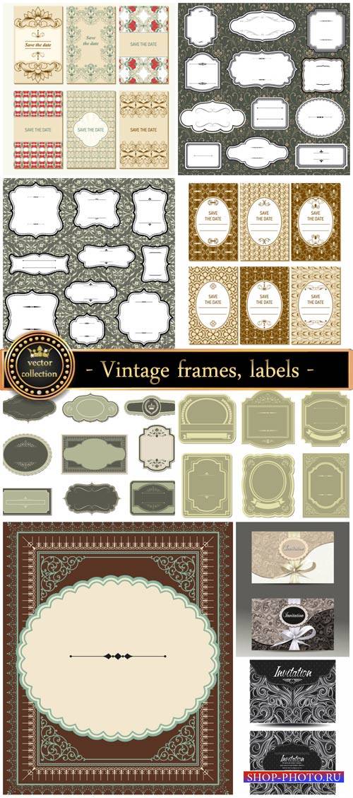 Vintage, labels, and invitations vector