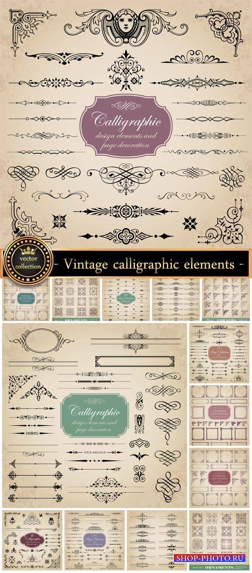 Vintage corners, and calligraphic elements vector