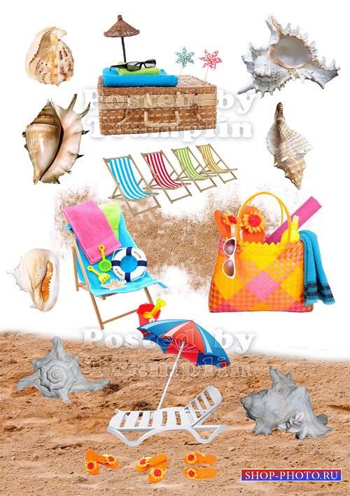 Летний клипарт – Пляж, песок, ракушки