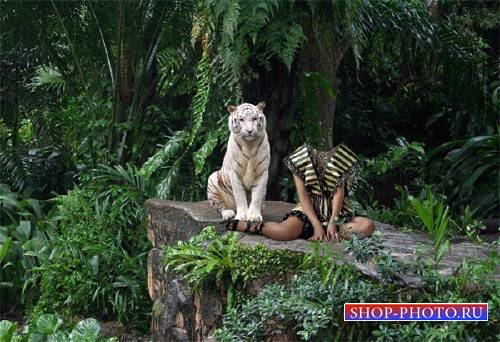  Фото шаблон - Фото с большим тигром 