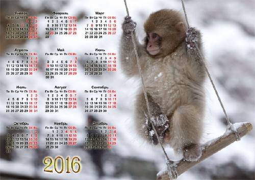  Календарь - Маленькая обезьянка зимой 