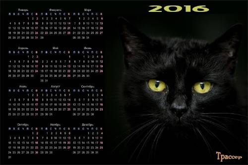 Календарь на 2016 год - Жил да был черный кот