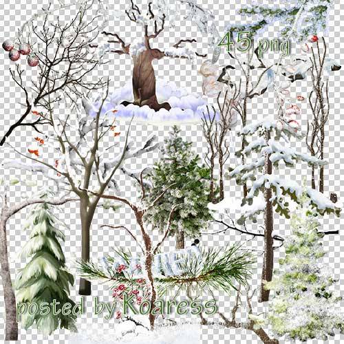 Клипарт на прозрачном фоне - Зимние заснеженные деревья и ветки