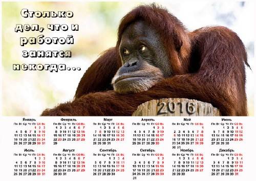  Календарь на 2016 год - Обезьяна в раздумьях 