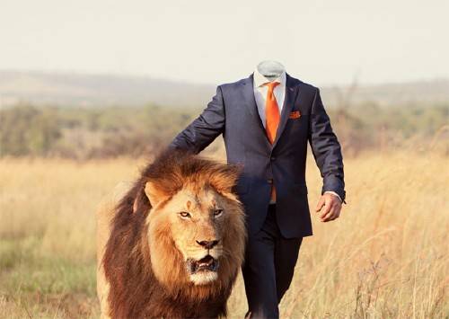  Шаблон psd мужской - С большим львом в костюме 