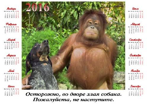  Настенный календарь - Собака с обезьяной 