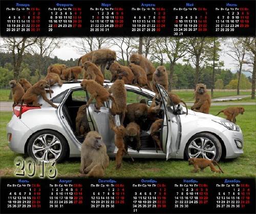  Красивый календарь - Нападение обезьян 