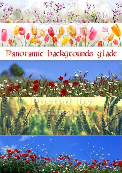 Весенние фоны – Панорамные фото цветов, поляны