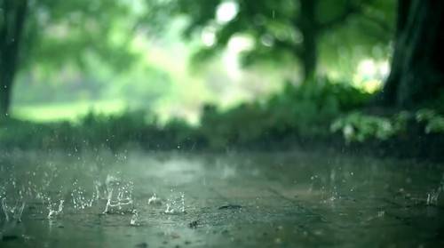 Футаж - Летний дождь
