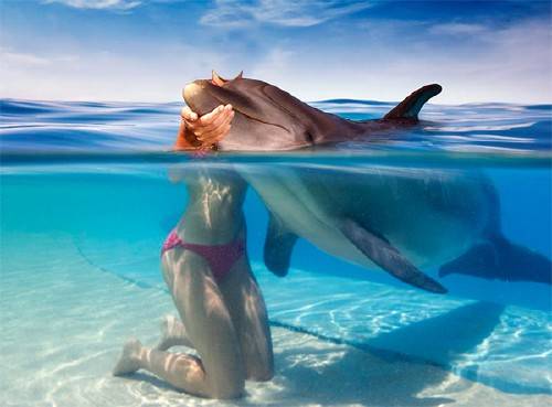  Шаблон для фото - Поплавать с дельфином 