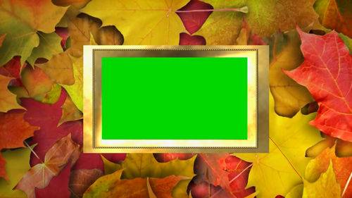 Осенняя рамка раскраска - 67 фото