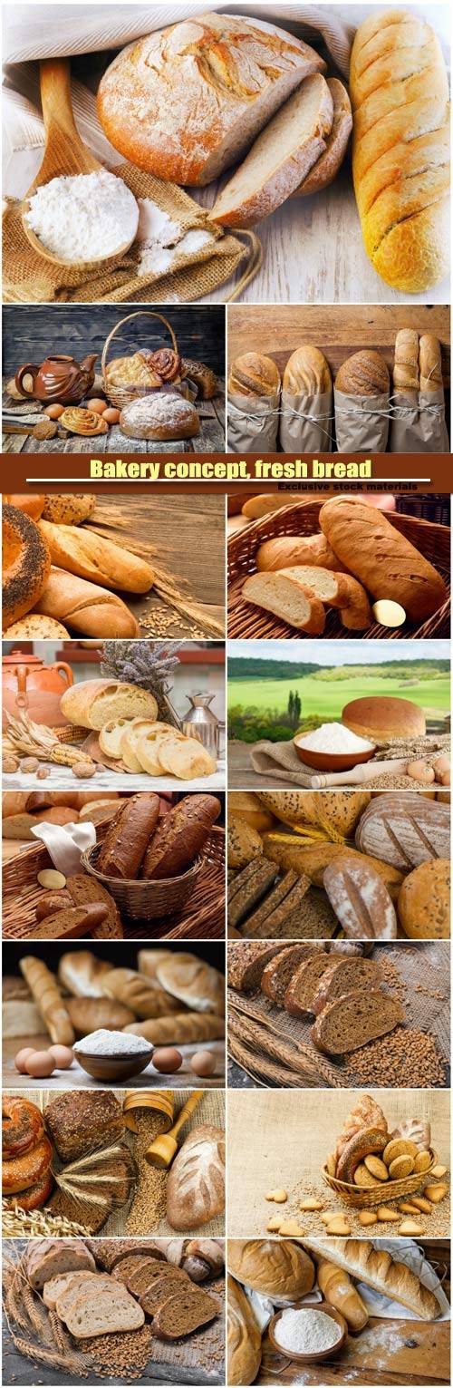 Bakery concept, fresh bread, sliced rye bread