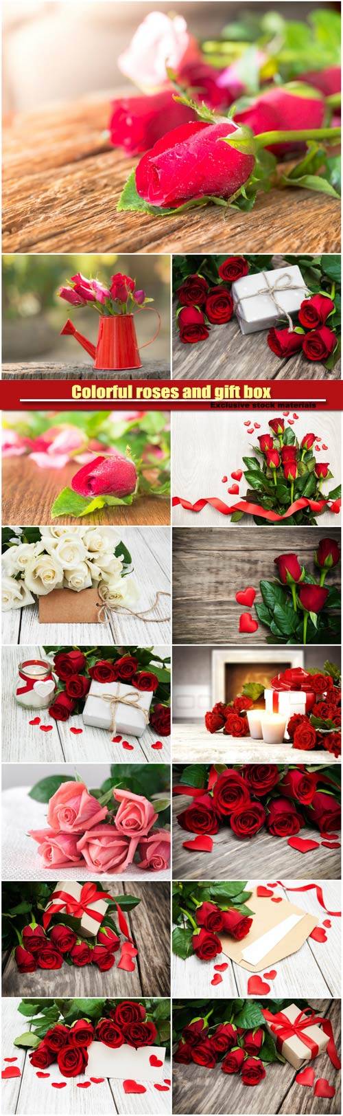 Colorful roses and gift box