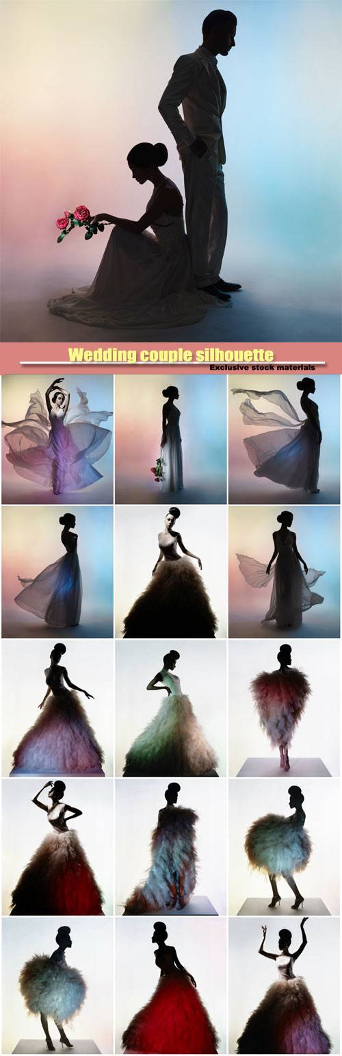 Wedding couple silhouette, groom and bride, beautiful elegant woman in luxury evening dress