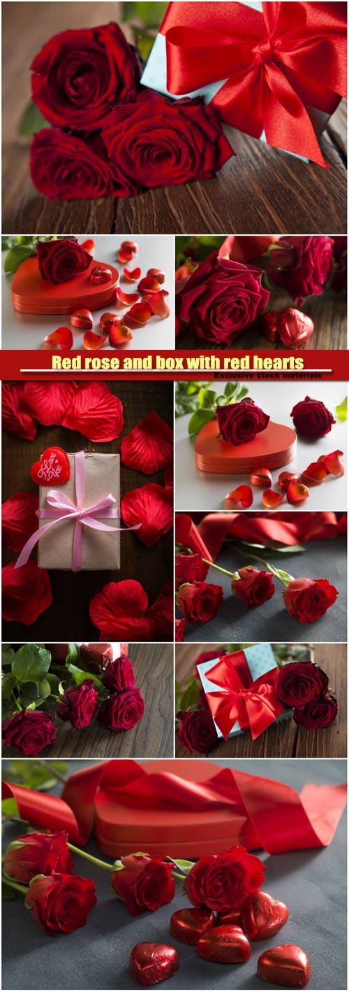 Red rose and box with red hearts