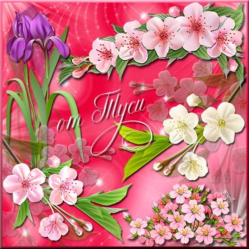  Клипарт - Весенние цветы 