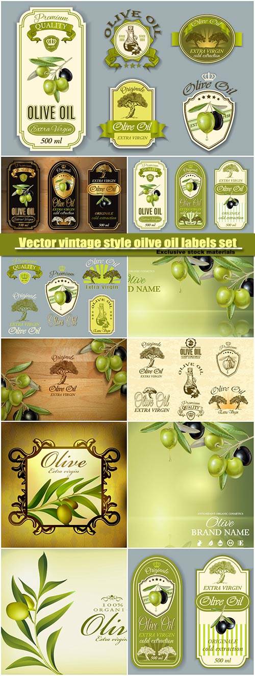 Vector vintage style oilve oil labels set