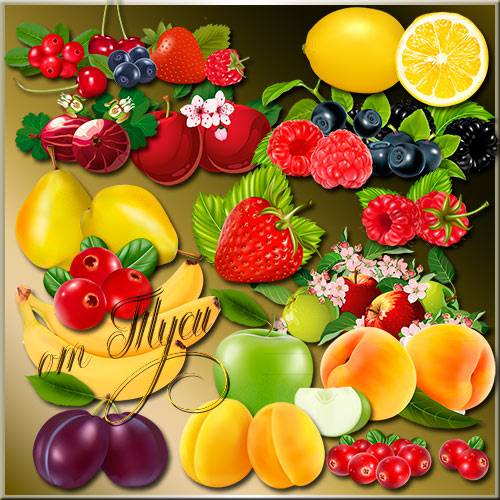 Клипарт - Сочные ягоды и нежные фрукты