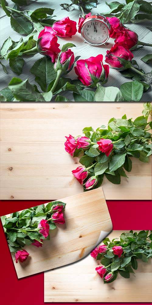  Прекрасные розы для поздравлений - Клипарт / Beautiful roses for congratulations - Clipart