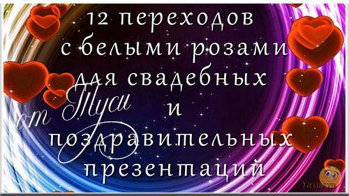   12 переходов для ProShow Producer с белыми розами 