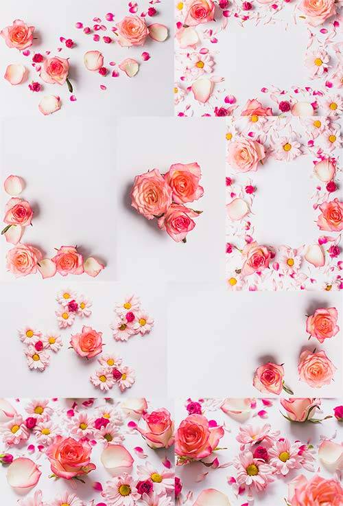 Прекрасные розы - Клипарт / Beautiful roses - Clipart