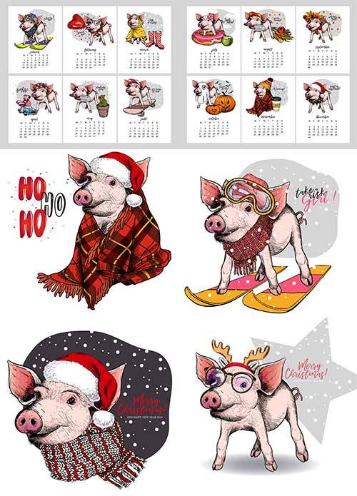  Смешная свинка и календарь 2019 в векторе / Funny pig and calendar 2019 in vector