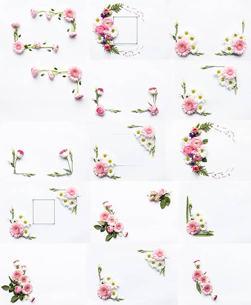 Красивые цветы на белом фоне - Растровый клипарт / Beautiful flowers on white background - Raster clipart