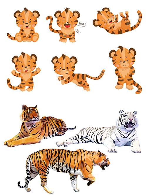 Тигры и тигрята - Векторный клипарт